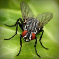 /album/cethornbespe/photolia-a01-jpg/