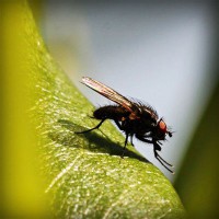 /album/cethornbespe/photolia-a04-jpg/