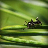 /album/cethornbespe/photolia-a05-jpg/