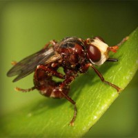 /album/cethornbespe/photolia-a06-jpg/